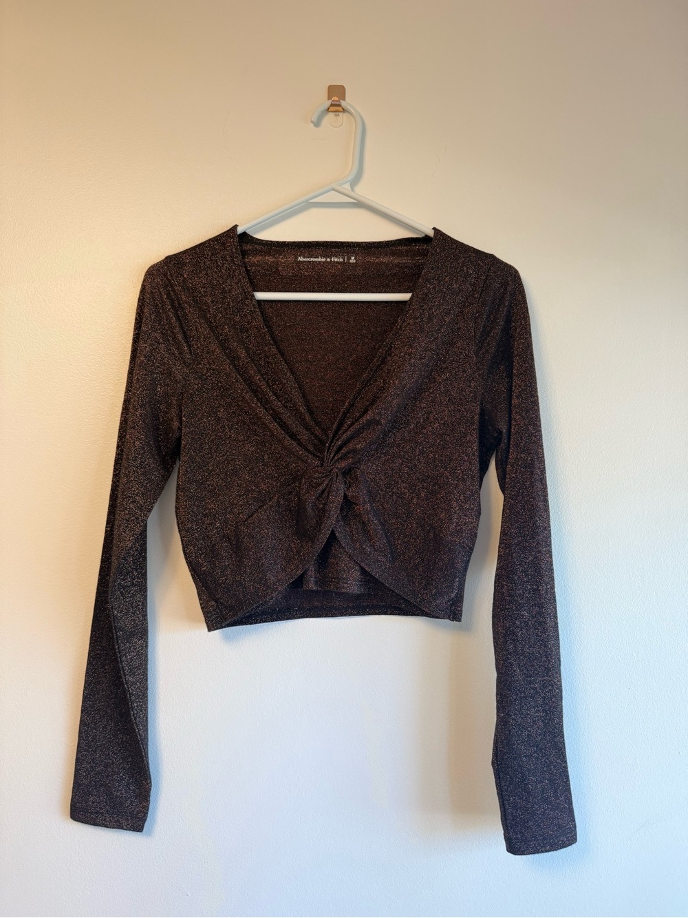 Abercrombie & Fitch Shimmery Brown Knot-Front Crop Top